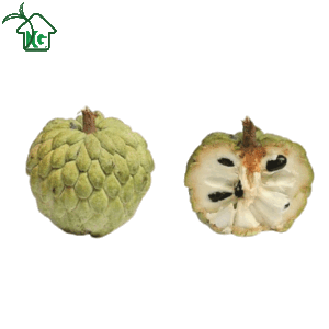 আতা ফল (Custard Apple)