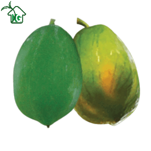 পেঁপে (Papaya)