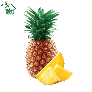 আনারস (Pineapple)